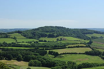 Lewesdon Hill from the west.jpg