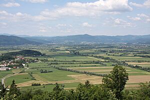 Ljubljana marsh - W