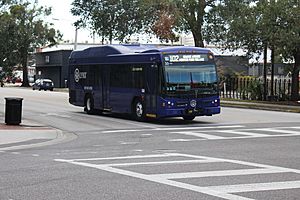 Lynx 102 bus Orlando