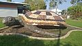Lyons - BIG Turtle