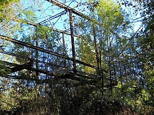Mahned Bridge, underside camelback truss