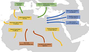 Main migrations and population movements in North Africa