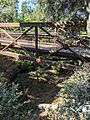 Miguelita Creek from Alum Rock Road