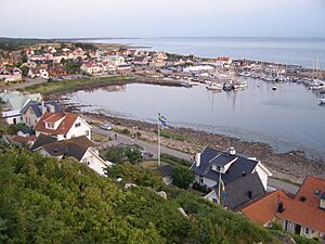 Molleharbour