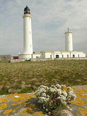 Muckle Skerry Lighthouse - geograph.org.uk - 754955.jpg