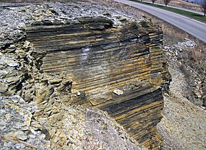 New Albany Shale (Upper Devonian; MacDonald Knob Outcrop, Bullitt County, Kentucky, USA) 11 (44085616790).jpg