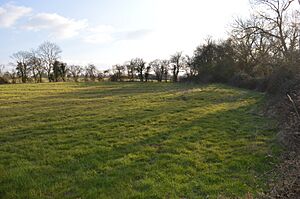 Poker's Pond Meadow 5