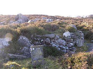 Prince Connell's Grave - geograph.org.uk - 1119120.jpg