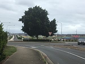 Quakers Hill North Roundabout