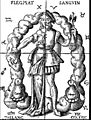 Quinta Essentia (Thurneisse) illustration Alchemic approach to four humors in relation to the four elements and zodiacal signs
