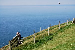 RSPB Viewing Point, St Bees Head - geograph.org.uk - 1345380
