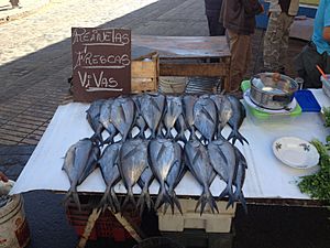 Reinetas en mercado del Pasaje de la Matriz, en Valparaíso