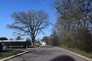 Residetial area in Farmington hills