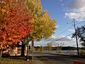 Rue Jacques-Cartier (Gatineau, Québec)