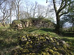 Ruins of Castell Morgraig.jpg