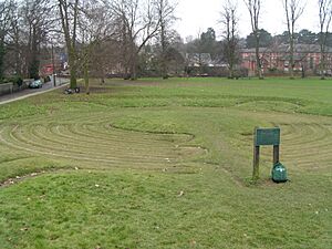 Saffron walden maze