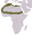 Saharan Striped Polecat area