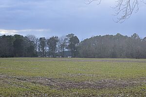 Scarborough House Site