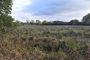 Snailwell Meadows 4