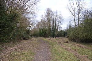 Somersham Local Nature Reserve 1