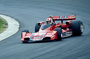 Stommelen auf Brabham 1976