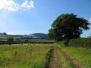 The Three Castles Walk - geograph.org.uk - 568727