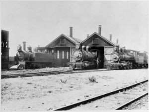 Three Wellington and Manawatu Railway locomotives outside railway sheds ATLIB 333408