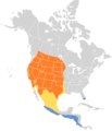Tyrannus verticalis map