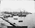 TyreLebanon Harbour1898-1914 LibraryOfCongress-MatsonCollection