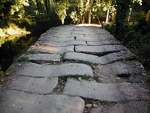 Via XIX bridgetop