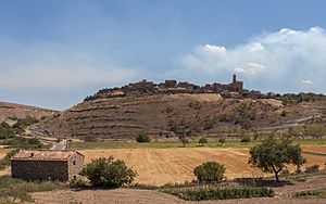 Vista de Alcalá de Moncayo, España, 2012-08-27, DD 02.JPG