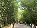 Wat Chulabhorn Wanaram วัดจุฬาภรณ์วนาราม นครนายก 01