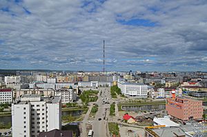 Якутск. Вид на центральную часть города (2)