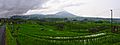 1 bali jatiluwih rice terrace panorama