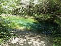 2009-0724-CA-MarhallDiscoverySite