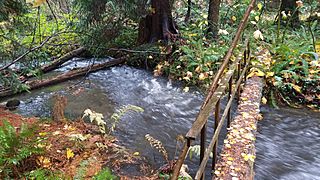 2017 Kelsey Creek in Bellevue image 5