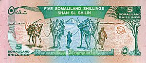 5 Somaliland Shillings back.jpg