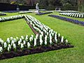 Anglesey Abbey - Formal Garden Spring 3