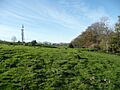 Bathampton Down earthworks