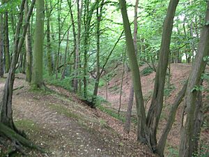 Beech Bottom Dyke (1)