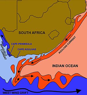 Benguela and Agulhas Currents 2