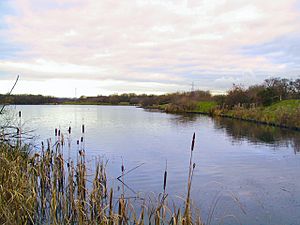 Blackleach Country Park - geograph.org.uk - 91166