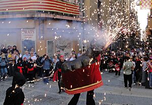 Bou de Tarragona