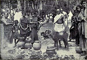 Castes and Tribes of Southern India, Volume 6 - Image 1