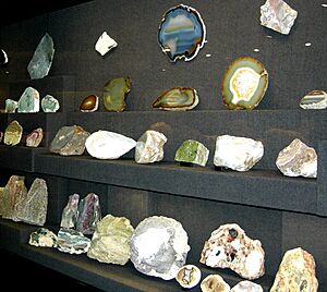Cliffecastlemus 014