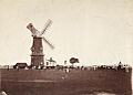 Cricket match on Beverley Westwood pre-1868 (archive ref PH-4-7) (25762431953)