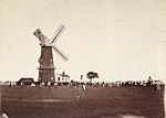 Cricket match on Beverley Westwood pre-1868 (archive ref PH-4-7) (25762431953).jpg
