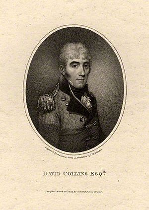 David Collins Cardon