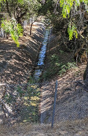 Deer Creek at I-280 and Arastradero Road