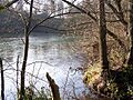 Dimminsdale Nature Reserve - geograph.org.uk - 331468